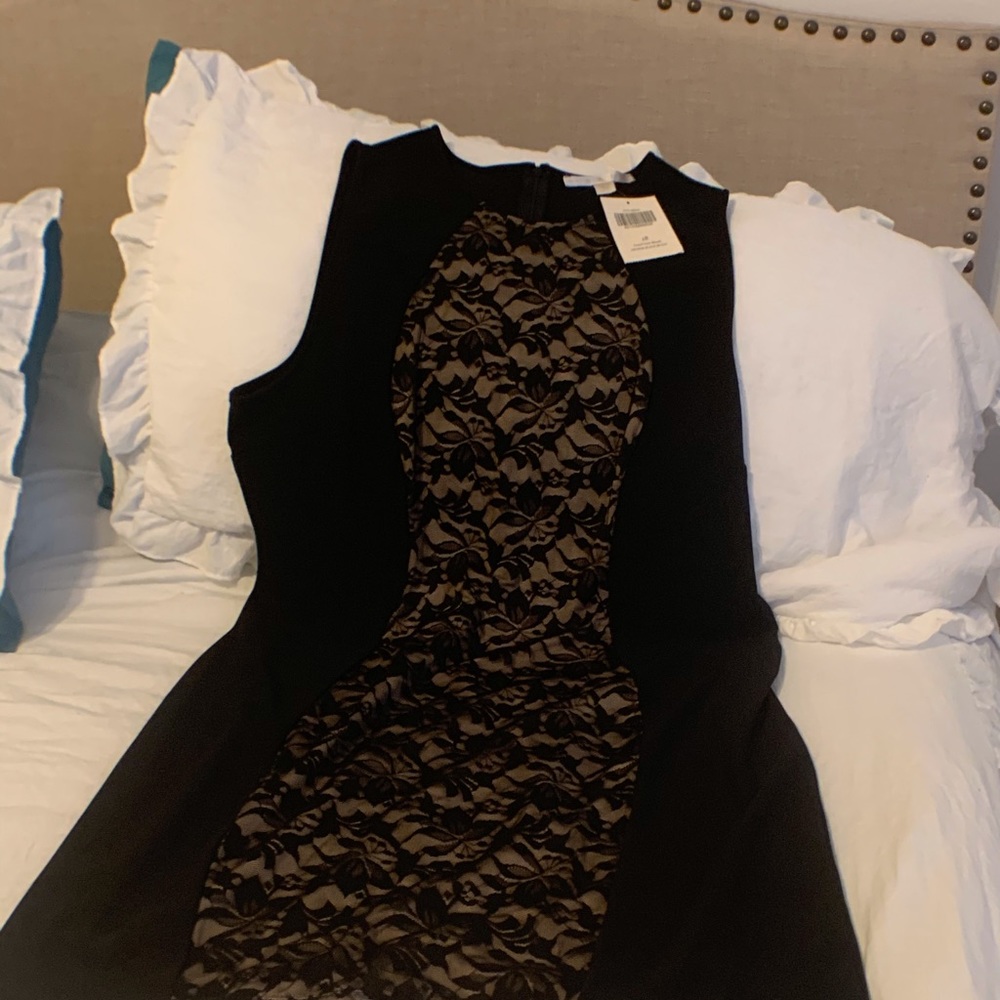 NWT Elegant Lace Boston Proper Dress